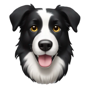 Black & white Bordercollie / Labrador with short fur sticker