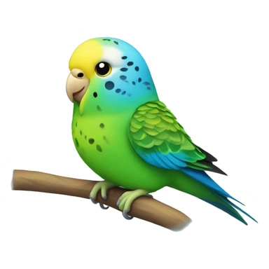 green budgie with yellow head and blue nose sticker