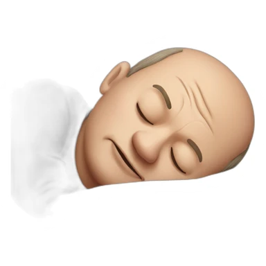 olaf scholz sleeping sticker