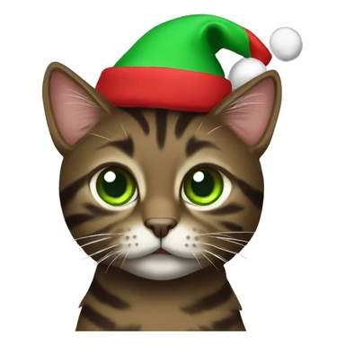 Dark brown tabby cat with green eyes wearing Christmas hat sticker