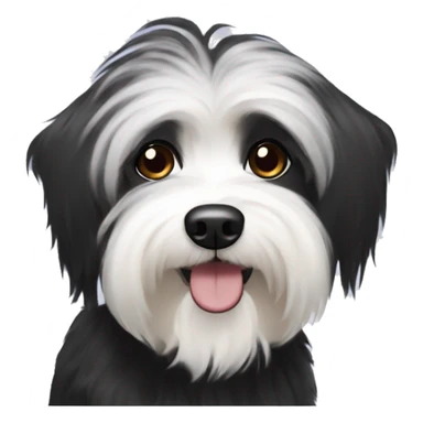 Black havanese with white eyebrow  sticker