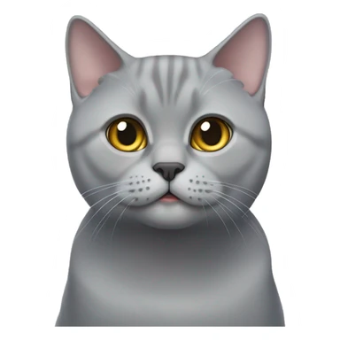 Grey British shorthair cat sticker