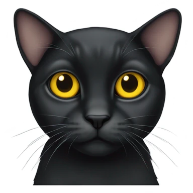 Black lop-eared cat with yellow eyes sticker