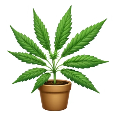Cannabis sticker