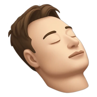 Sleeping Elon Musk sticker