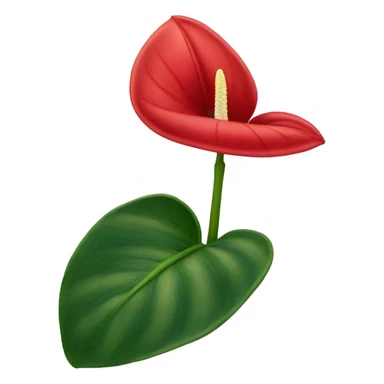 front facing red anthurium flower only no stem sticker