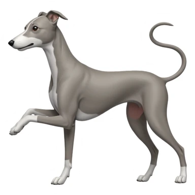 Greyhound working sticker