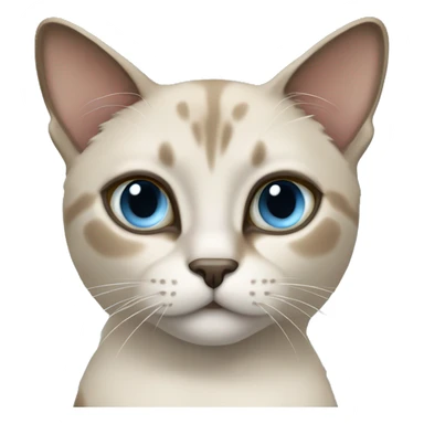 Thai breed cat with a light cream-brown body, dark gray nose and face, ears, and paws. sharp ears, and striking light blue eyes  sticker