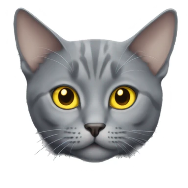 gray cat with yellow eyes british sticker