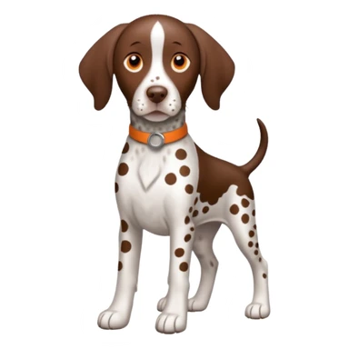 white and orange spotted german short haired pointer sticker