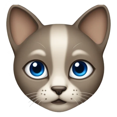 Dark Brown face - beige body and ears female siamise cat with blue eyes  sticker