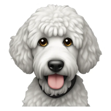 sitting Bernadoodle black with white near mouth sticker