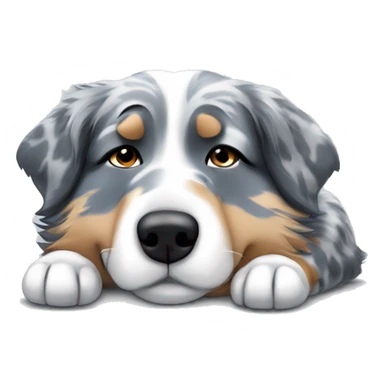 Blue Merle Australian shepherd sleeping  sticker