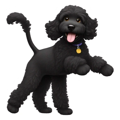 Black Labradoodle dancing  sticker