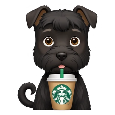 All Black schnauzer with a Starbucks cup sticker