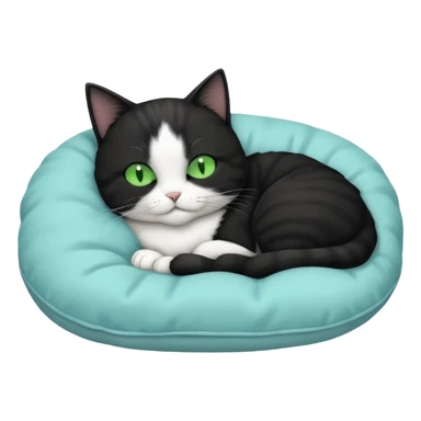 tuxedo short haired cat with green eyes sleeping in a lightblue pillow sticker