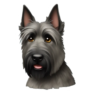 Berger picard black brindle sticker