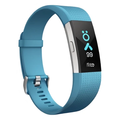 Fitbit company logo sticker