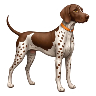 orange spotted german short haired pointer sticker