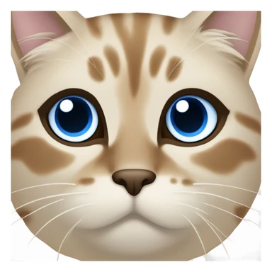 Beige birma cat Blue eyes full face and neck, darkbrown deatails sticker