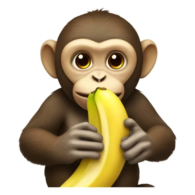 monkey eating a banana  sticker