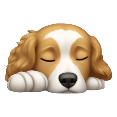 Light brown Tibetan mix dog sleeping  sticker