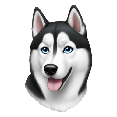 realistic short haired black and white Siberian husky with blue eyes sticker
