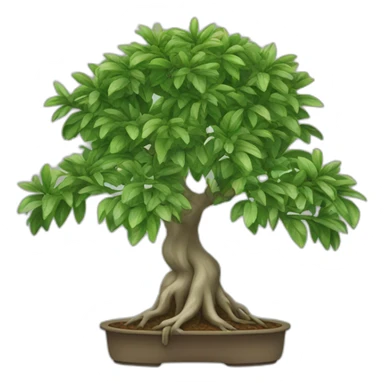 Ficus sticker