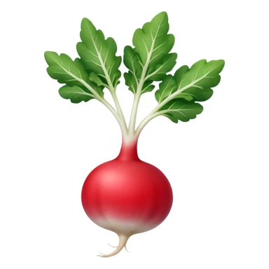 smaller radish UK plant with a bit of white on the bottom of the radish sticker