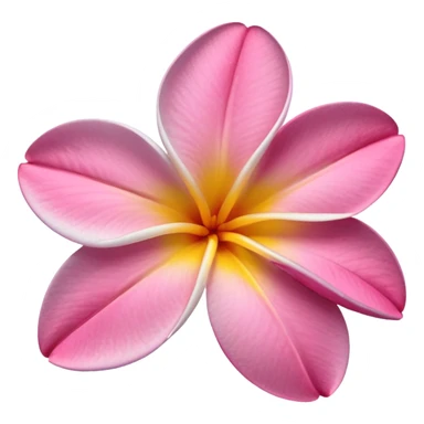frangipani flower pink sticker