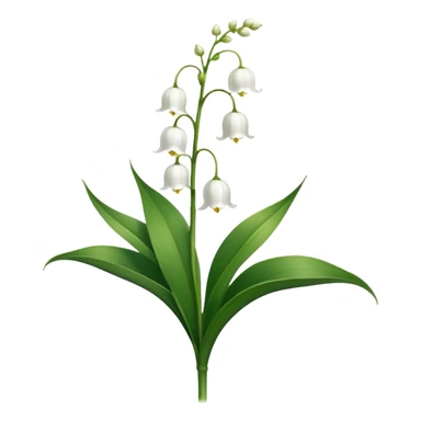 Botanically accurate lily of the valley with large oval basal leaves pointing upward, and a central stem with small white bell-shaped flowers hanging to one side sticker