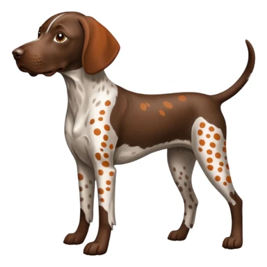 orange spotted german short haired pointer small tail sticker