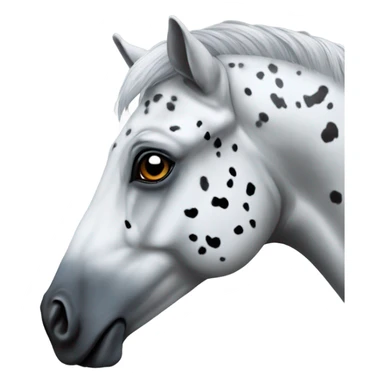 Appaloosa with grey mane blue eye sticker