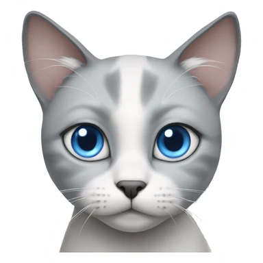 gray white cat with blue eyes asks for food with plaintive eyes sticker