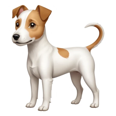 a full body white parson russell looking dog the size of a kelpie with light brown ears and a light brown patch on one eye and a large snout sticker