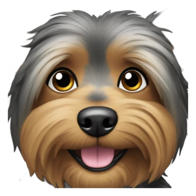 dog-australian-yorkshire-black-tan-older-closeup-smile sticker