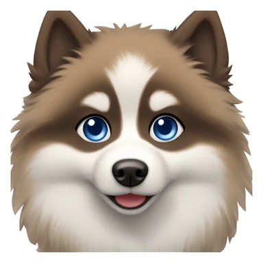 pomsky blue and brown eyes sticker