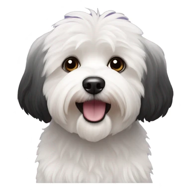 Black coloured dog bichon havanese go crazy sticker