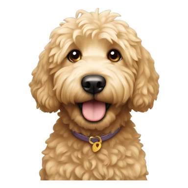 Mini golden doodle  sticker