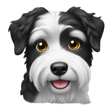 Havaneser Black and white sticker