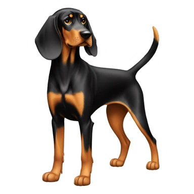 Black And Tan Coonhound Dog Breed Full Body sticker
