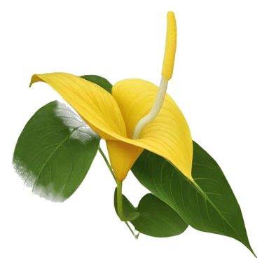 yellow Anthurium   sticker