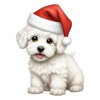 White Maltipoo puppy wearing a santa hat sticker