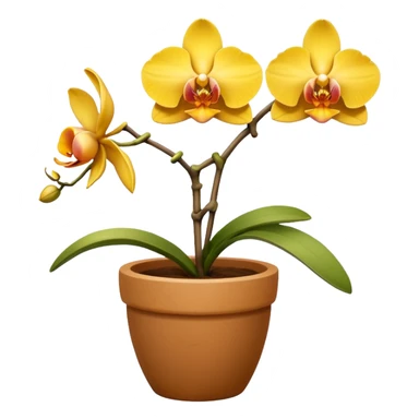 yellow Orchid in a clay pot sticker