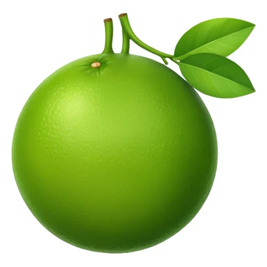 lime fruit sticker