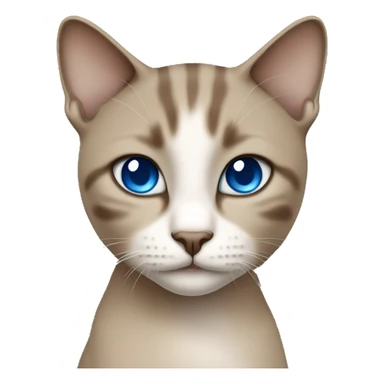 Dark Brown face - beige body thai female cat with blue eyes  sticker