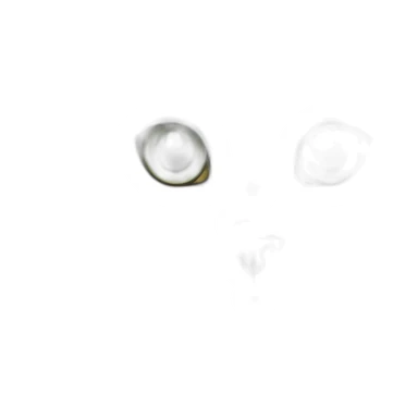 cat Maine Coon color tabby gray, green eyes, white tufts on the ears sticker