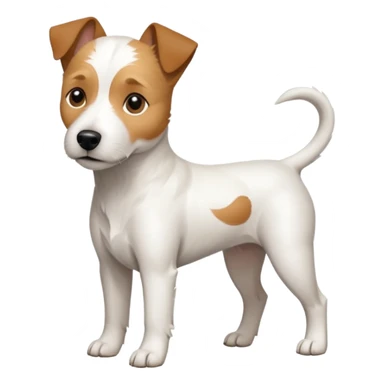 a full body white parson russell looking dog the size of a kelpie with light brown ears and a light brown patch on one eye and a large snout sticker
