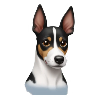 Black and white basenji rat terrier mix with point ears  sticker