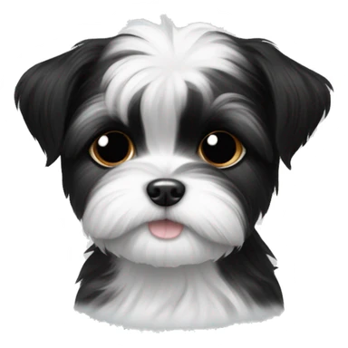 Black and white shorkie puppy only one eye and ear black sticker